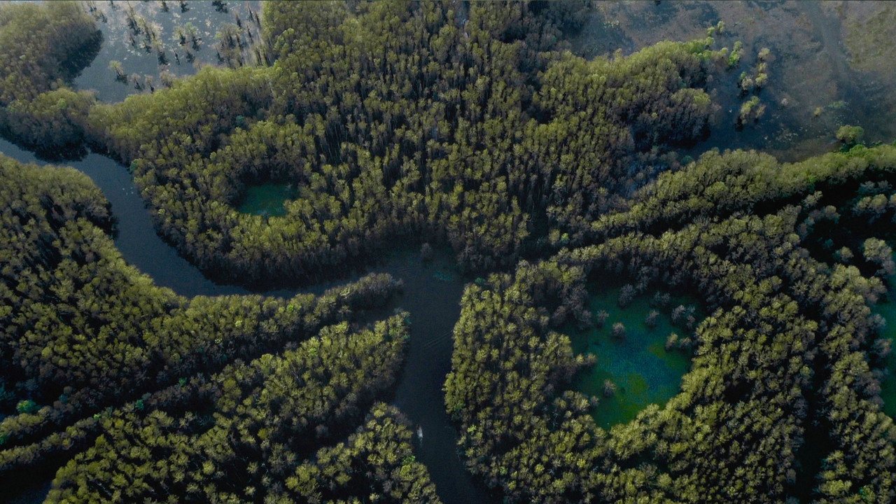 Os Horrores do Caddo Lake