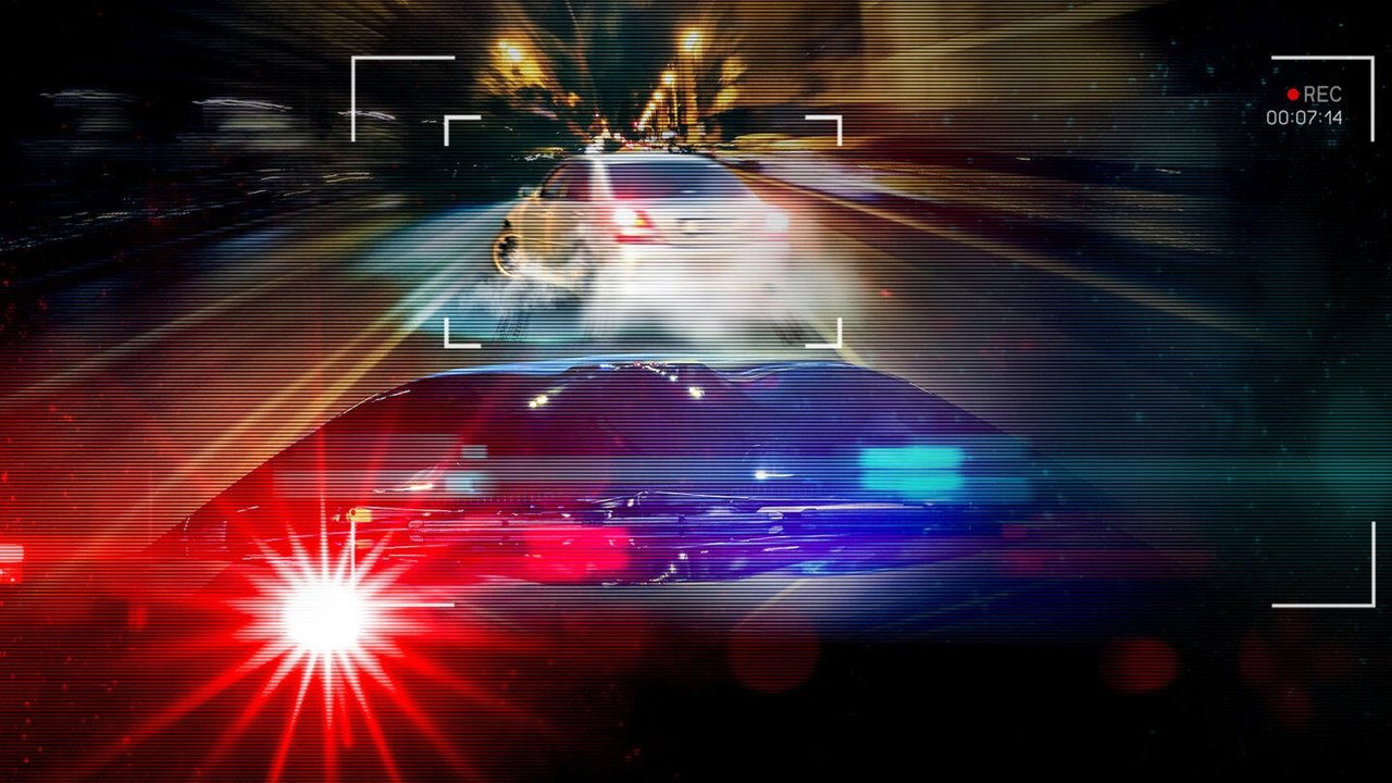 Real Cops